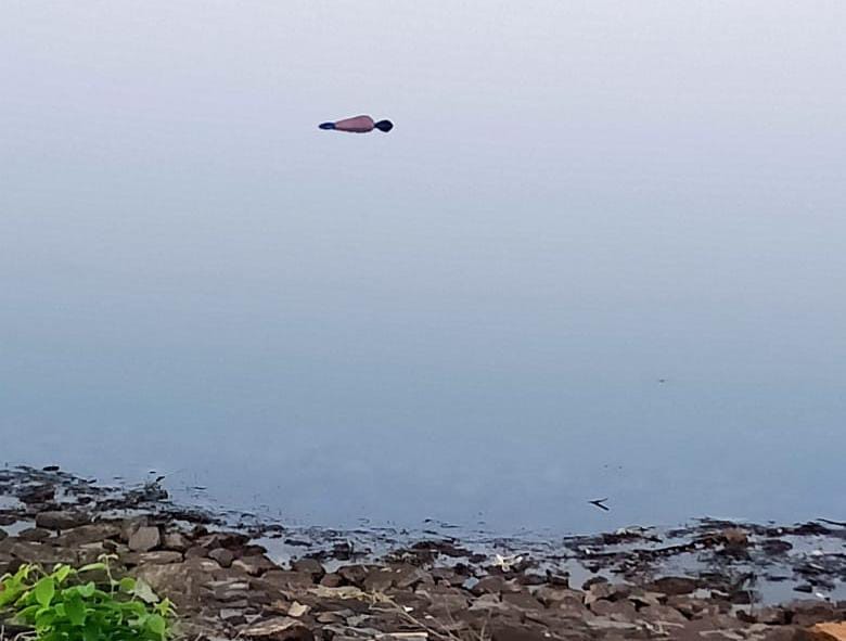 Two days missing people dead body find near Rohidi dam