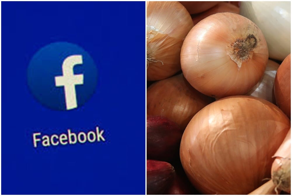Facebook blocked an advertisement for onion seeds for being overtly sexual