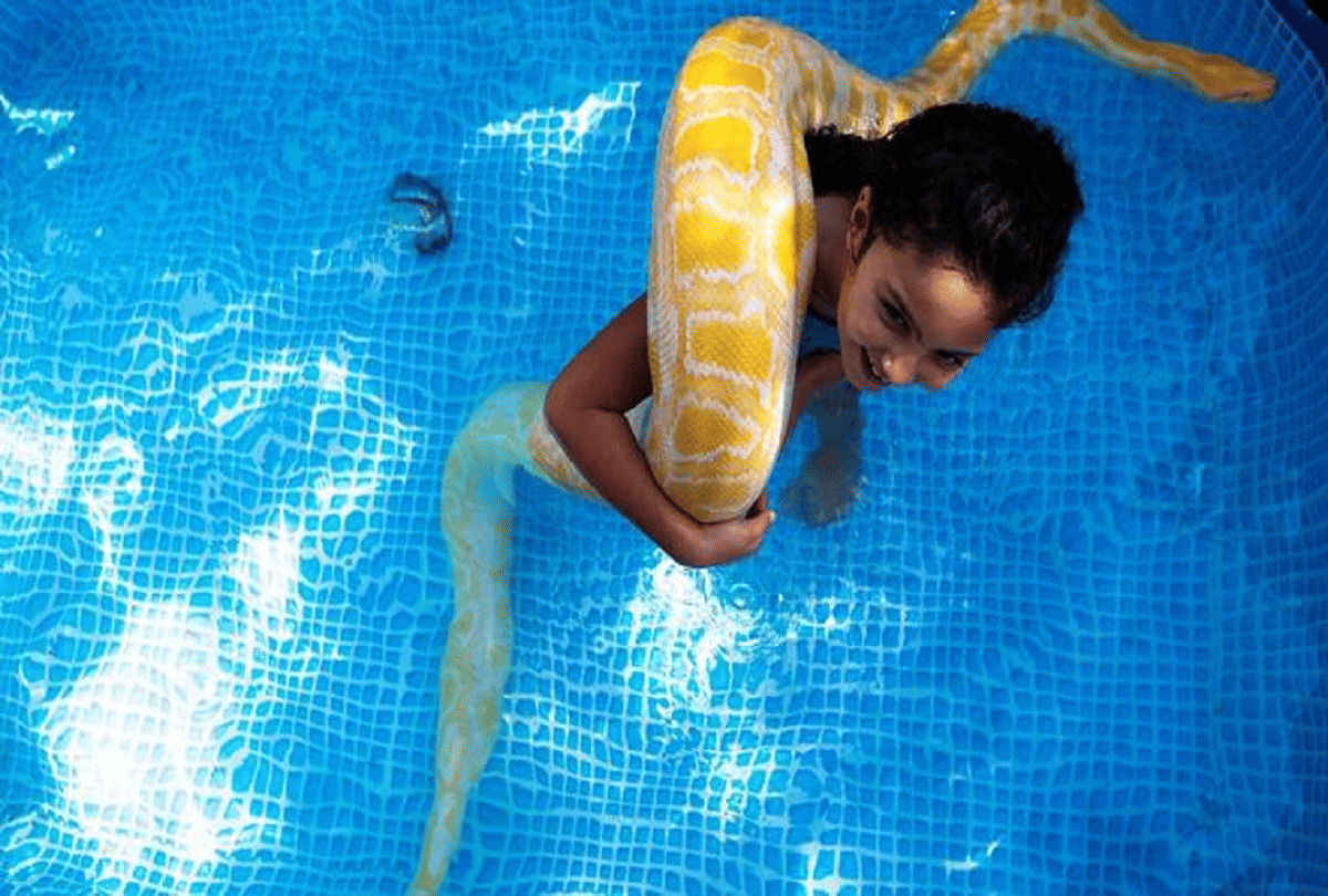 8 year old israeli girl best friend is an 11 foot tall pet python