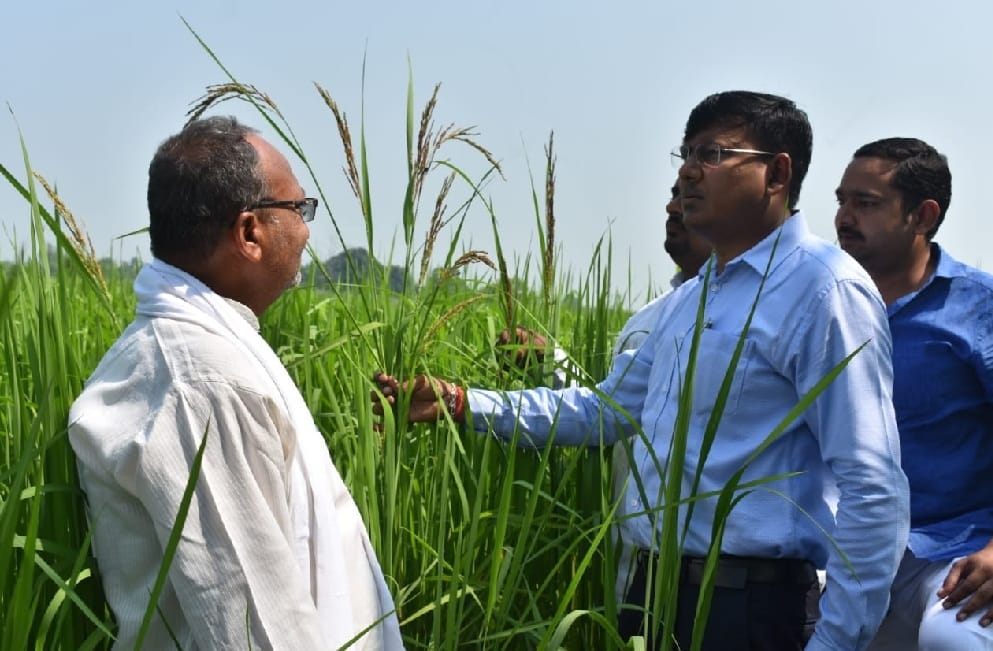 PM Modi praised the black rice from Chandauli