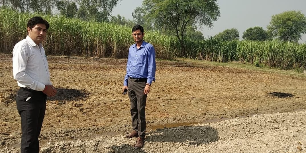 parali