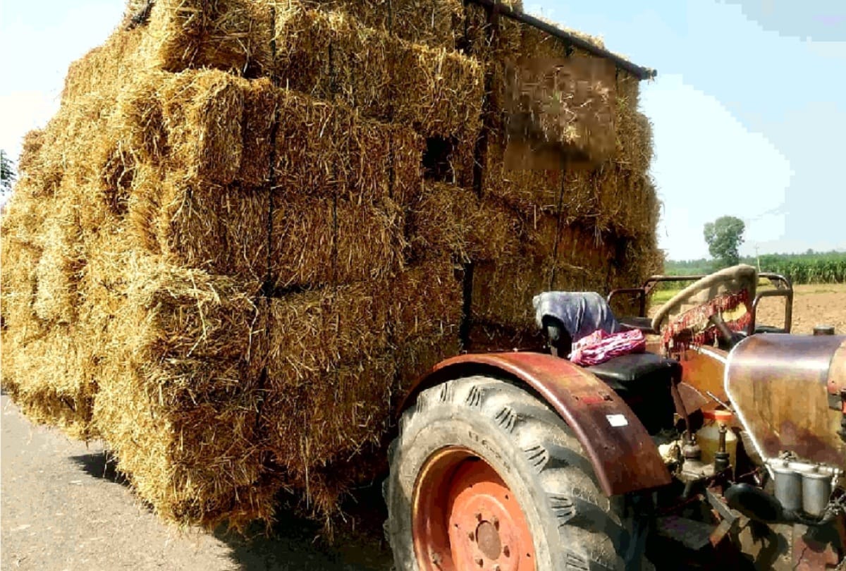 straw starts earning in Haryana farmers selling it to sugar-paper mills by making fuel blocks