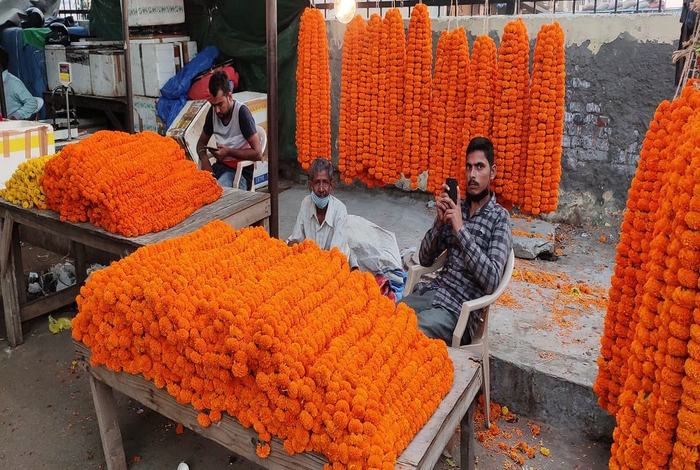 Export of Indian flowers to Nepal increased
