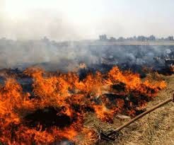 Farmers burning stubble in the district, officers do not even know