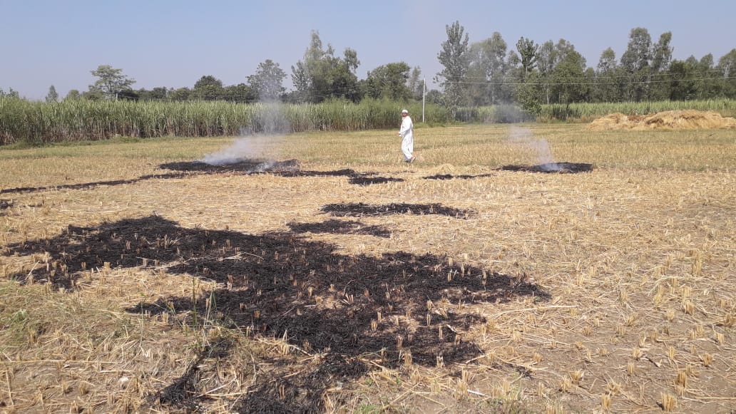 Remains burning in the fields even after the ban