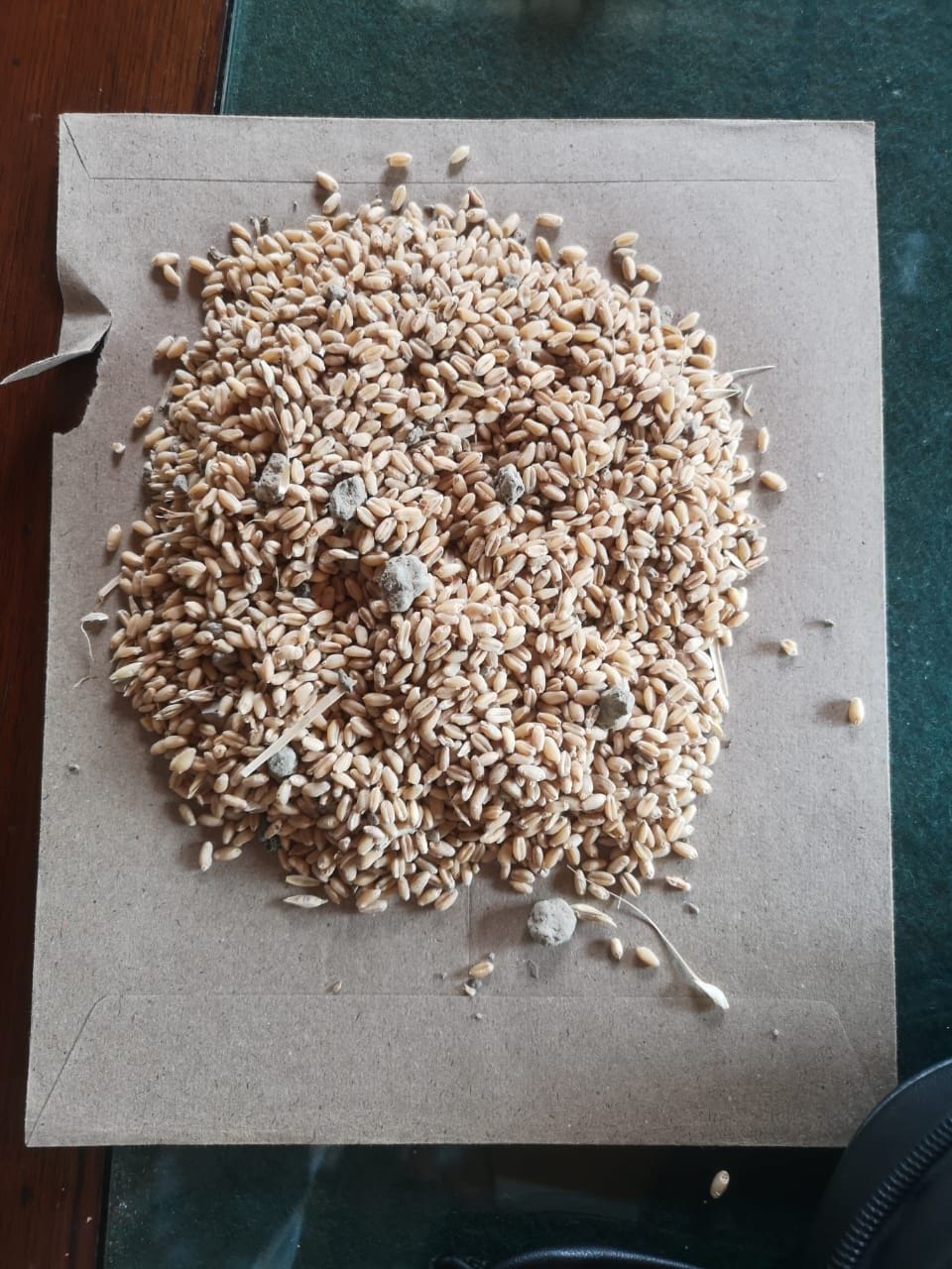 Complaint of getting sand and stones in wheat