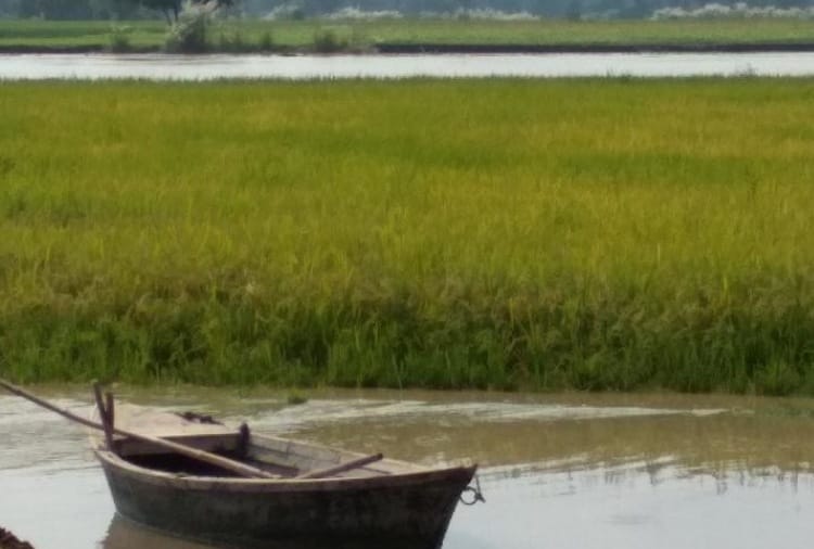 Six wetlands of Punjab get Ramsar site tag