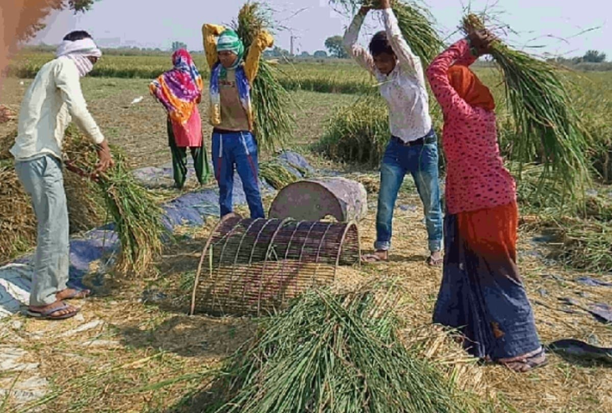 bihar election result 11 states bypolls 59 assembly seats bjp victory symbol approval of modi government policies agriculture bill 2020