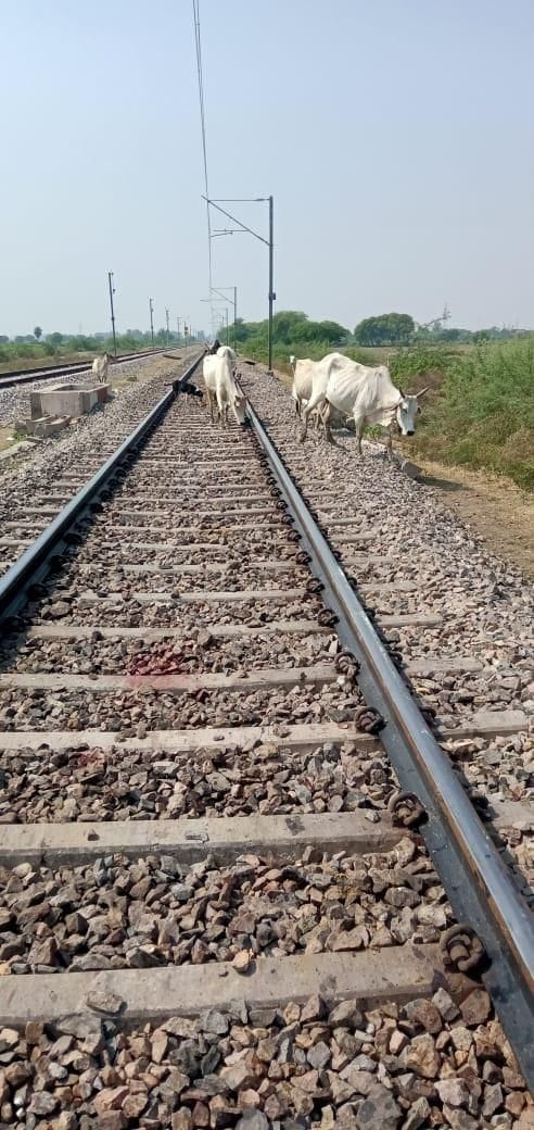 maalagaadee se kate teen maveshee, 15 minat khadee rahee tren