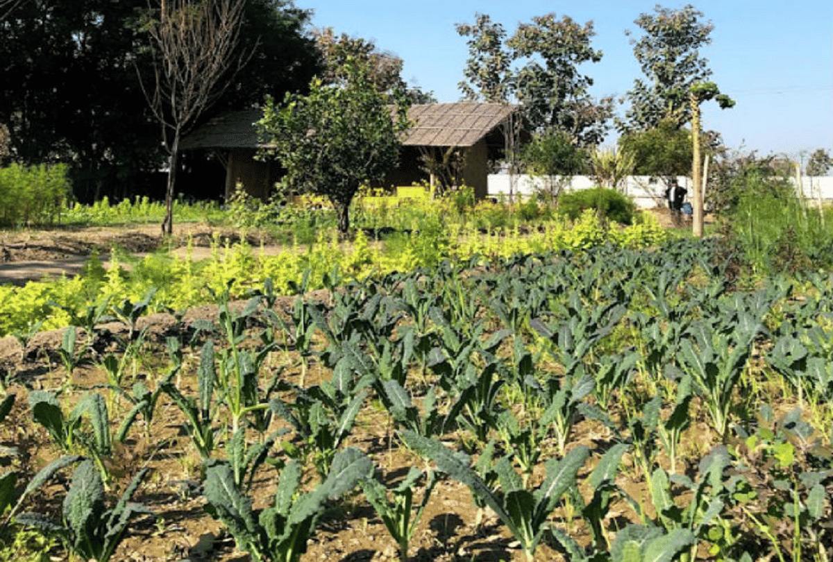 neha bhatia quit London job started organic farming earn 60 lakh annum