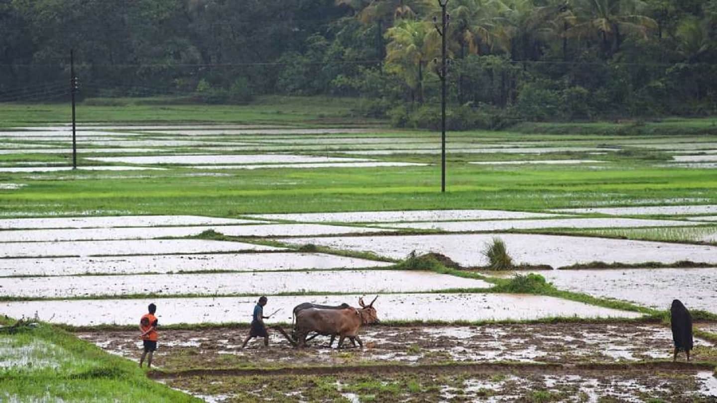 Pradhan Mantri Swami Yojana: You can download property cards from just one SMS, know what and how the benefits will be this scheme