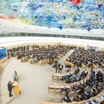 human rights council