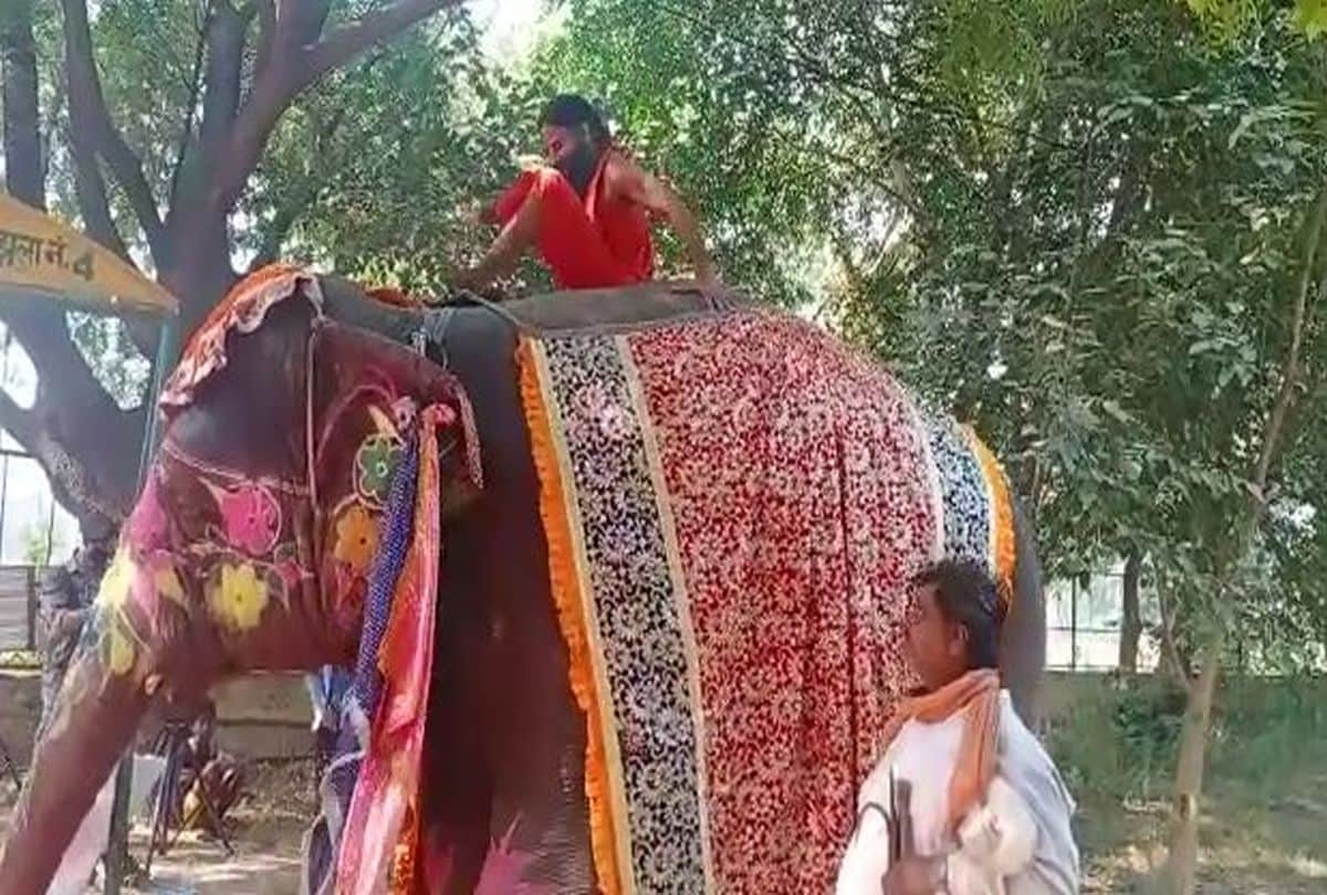legal notice to Baba Ramdev for violating wildlife protection Act by performing yog on elephant