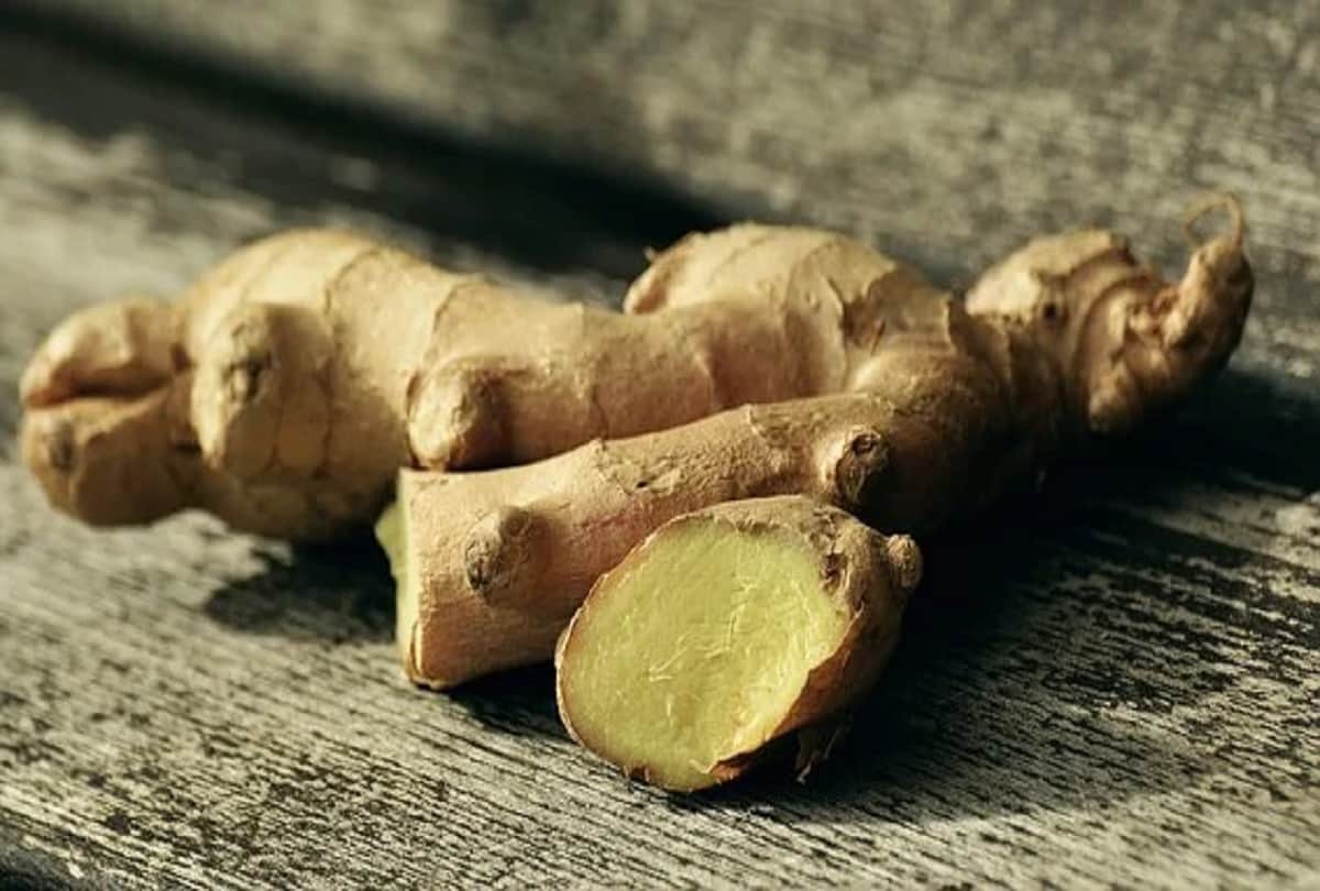 ayurvedic medicine for overall health and fitness in hindi, all you need to know