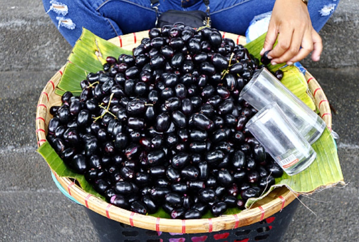 Monkeypox Diet Plan: Foods Items For Better Recovery And Boost Immunity