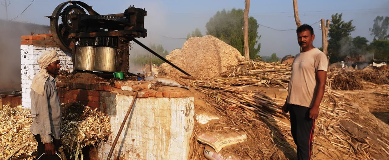 Farmers forced to put sugarcane on crusher at low cost