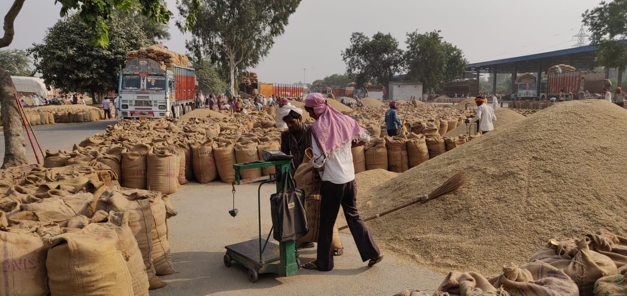 Government is procuring records of paddy on MSP to stop farmers movement