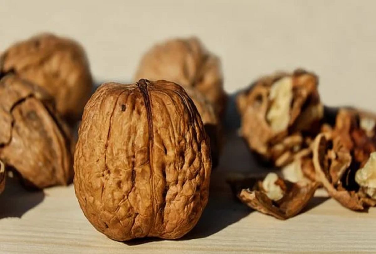 Benefits of eating walnuts