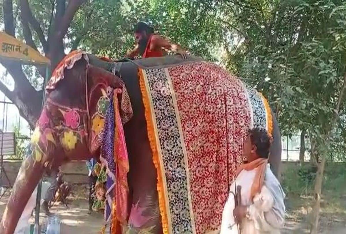 Baba Ramdev Ji Yoga Guru: Yoga Guru Baba Ramdev Fall From Elephant During Yoga Video Viral