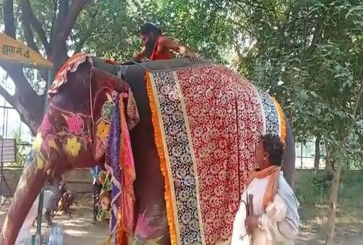 Baba Ramdev Ji Yoga Guru: Yoga Guru Baba Ramdev Fall From Elephant During Yoga Video Viral