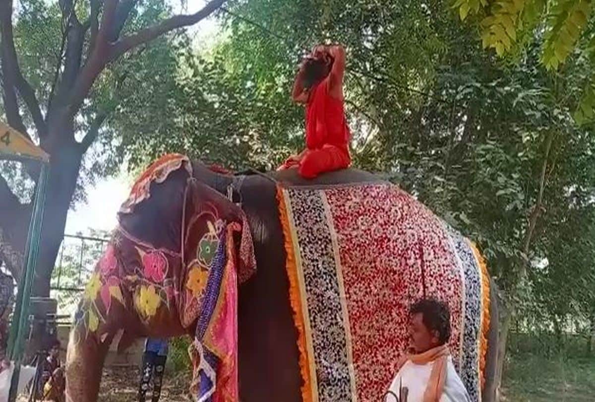 Baba Ramdev Ji Yoga Guru: Yoga Guru Baba Ramdev Fall From Elephant During Yoga Video Viral