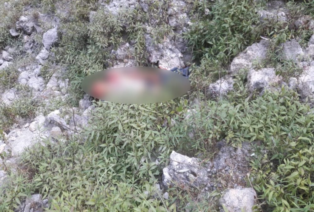 Mussoorie Car Accident News: Five Friends Car Fell into Ditch during Return from George Everest, Two dies, Photos