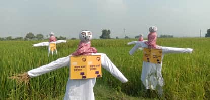 Mannequin demanded Renewable energy for irrigation