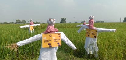 Mannequin demanded Renewable energy for irrigation