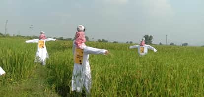 Mannequin demanded Renewable energy for irrigation