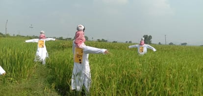 Mannequin demanded Renewable energy for irrigation