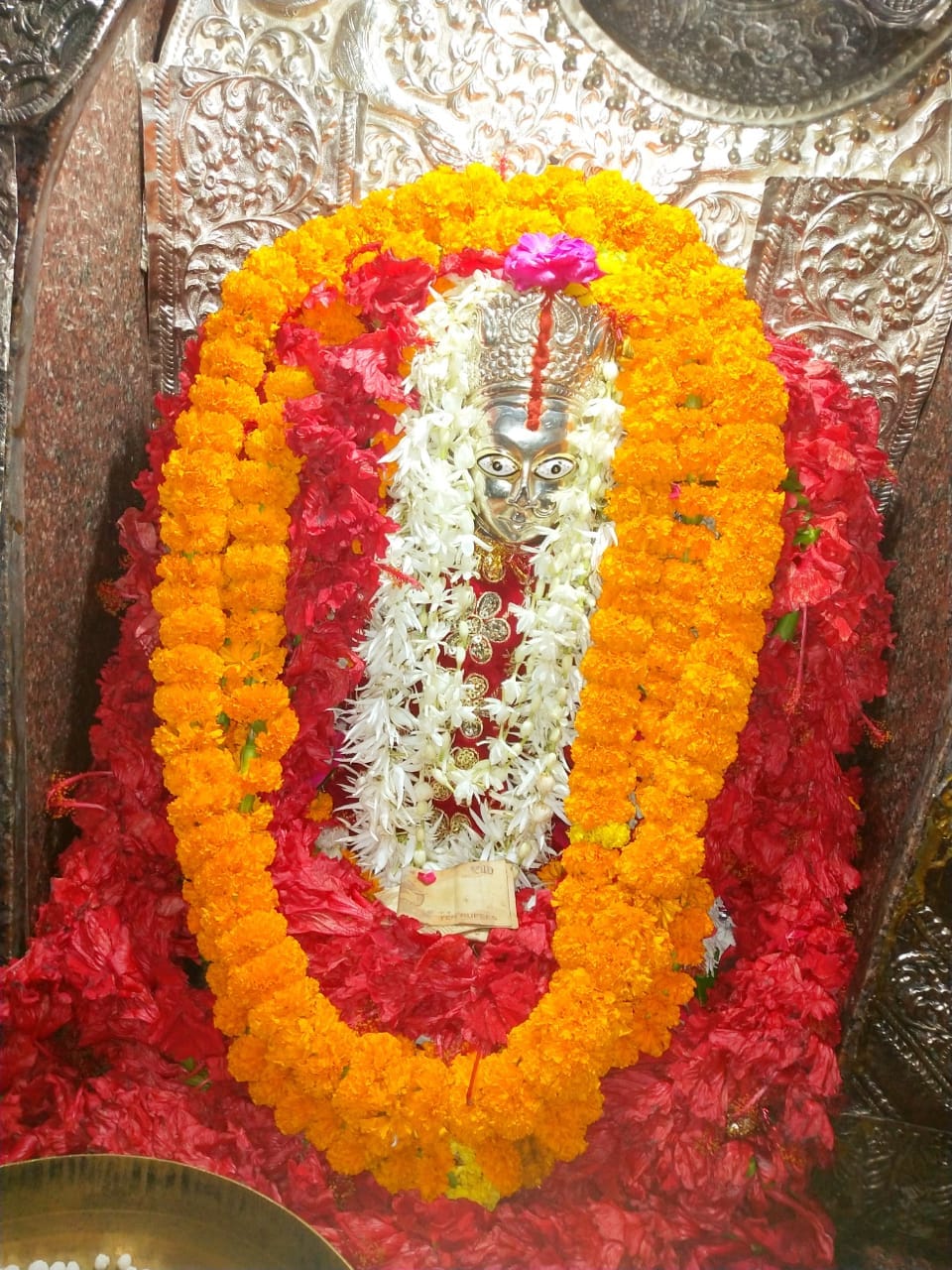 Devotees will be able to see Goddess amidst social distancing