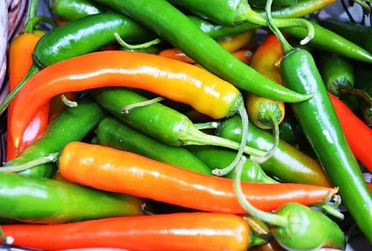 recipe of pickle make green chilli pickle for daily use