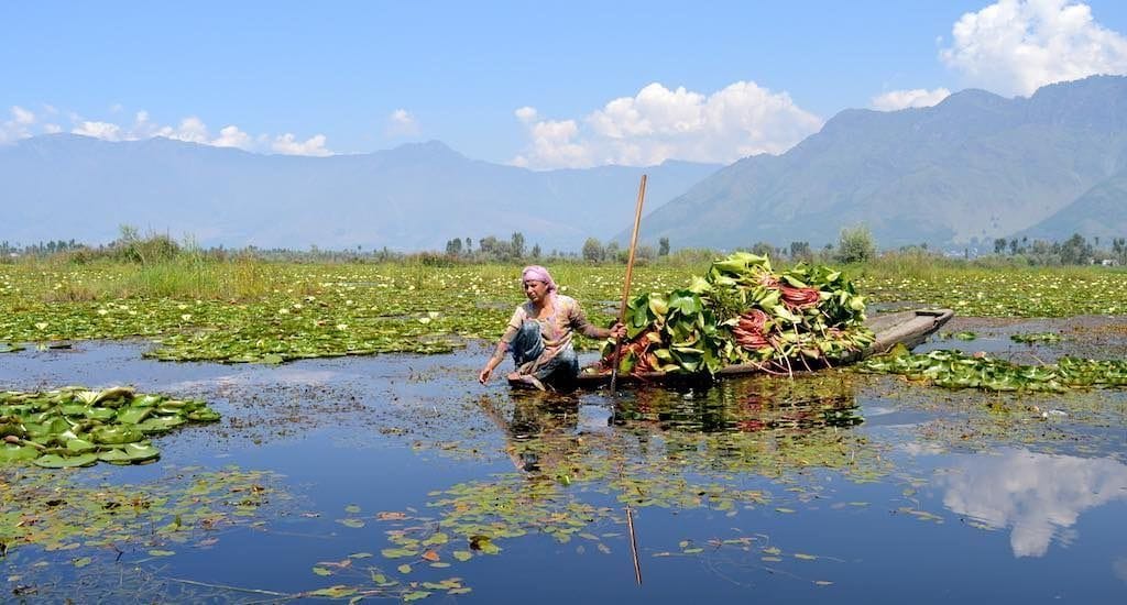 Wular lake will save Kashmir from floods, tourism will also get wings