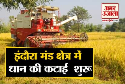 Himachal News: farmers demanded for mandi facility to sell crops