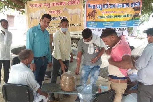Farmers trained on mushroom cultivation