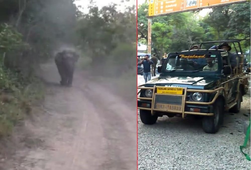 Elephant Run For Attack on tourist Jeep in Corbett National Park