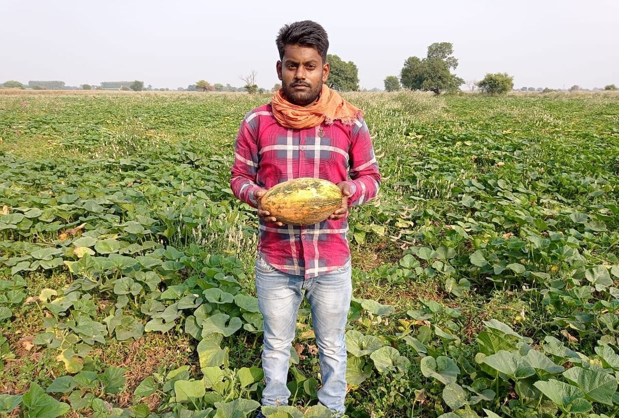 Uttar Pradesh Kanpur Amit Pal sell Pumpkin online in lockdown became Lakhpati
