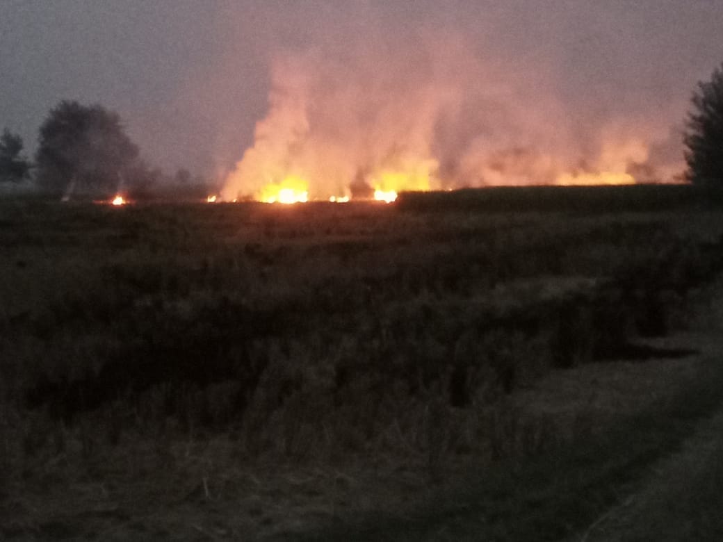 Photo of burning straw in the field is viral
