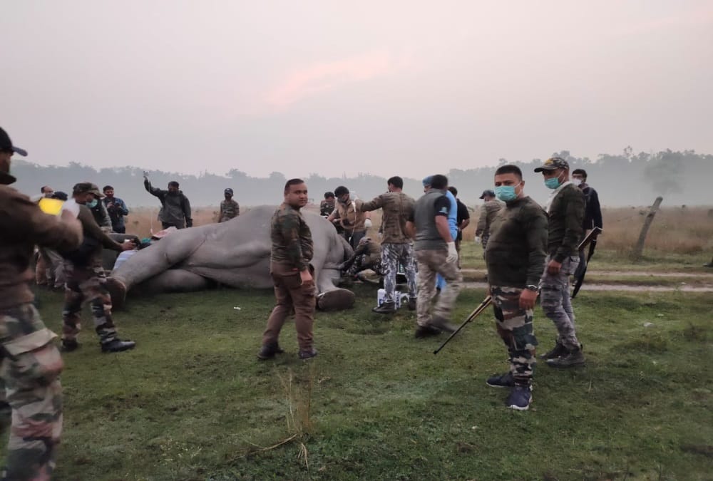 Haridwar: First time satellite based radio collar mounted on Tusker elephant