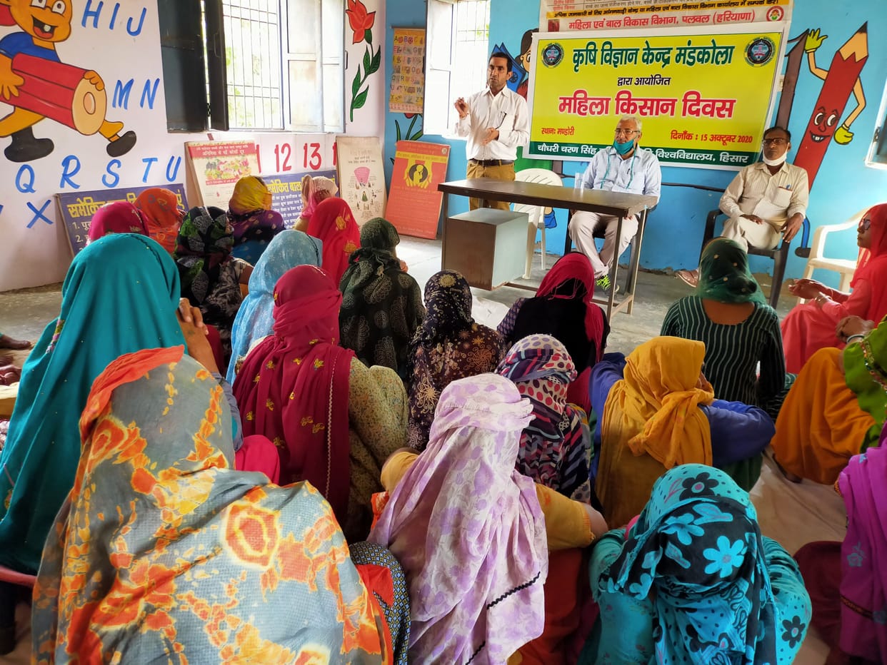 Women can become successful businessmen in agriculture