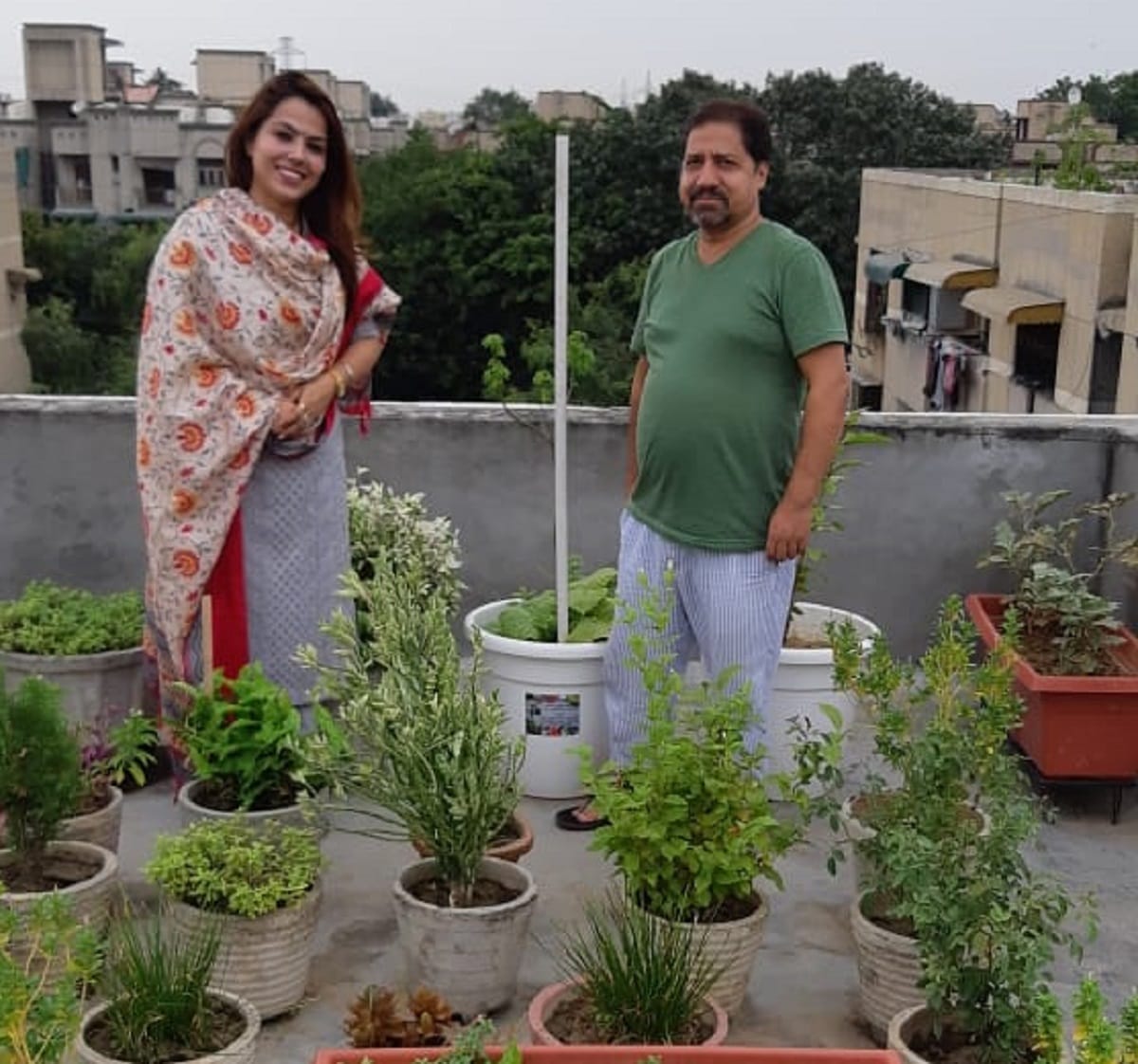 Fresh vegetables can be grown in your terrace garden, you will get green coriander and garlic every moment