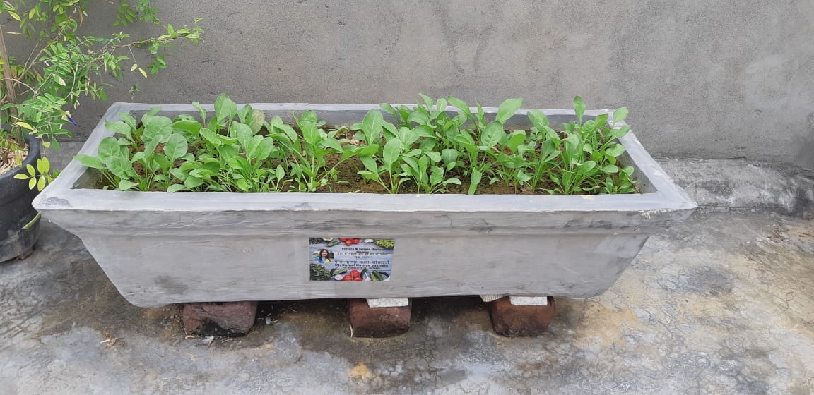 Medicinal plants will be installed in jammu kashmir school campuses, efforts are being made to promote nutrition among children