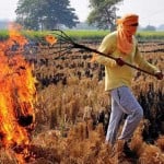 पराली जलाता किसान (फाइल फोटो)