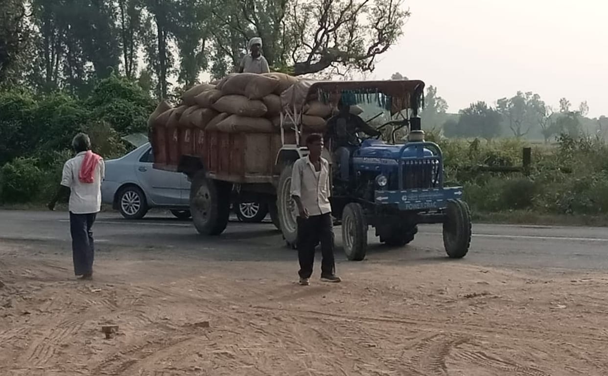 Government order Dhadam, no arrangement for purchase of paddy in Tehsil