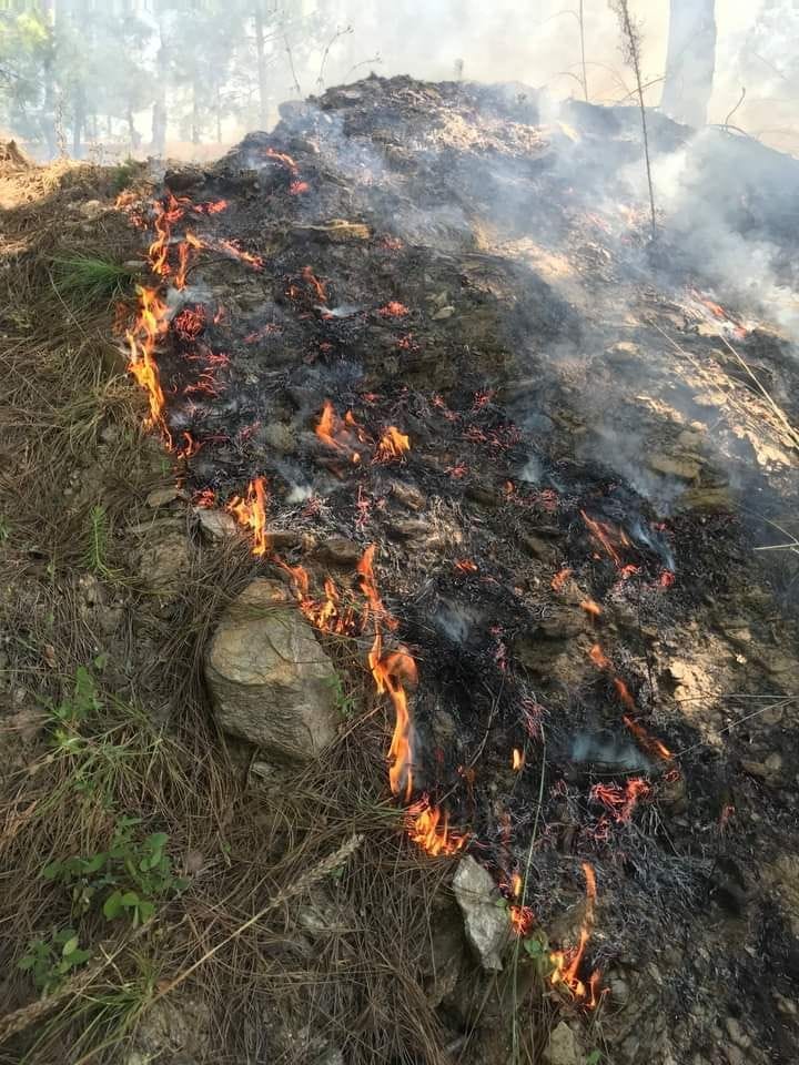 Fores Fire in Kumaon