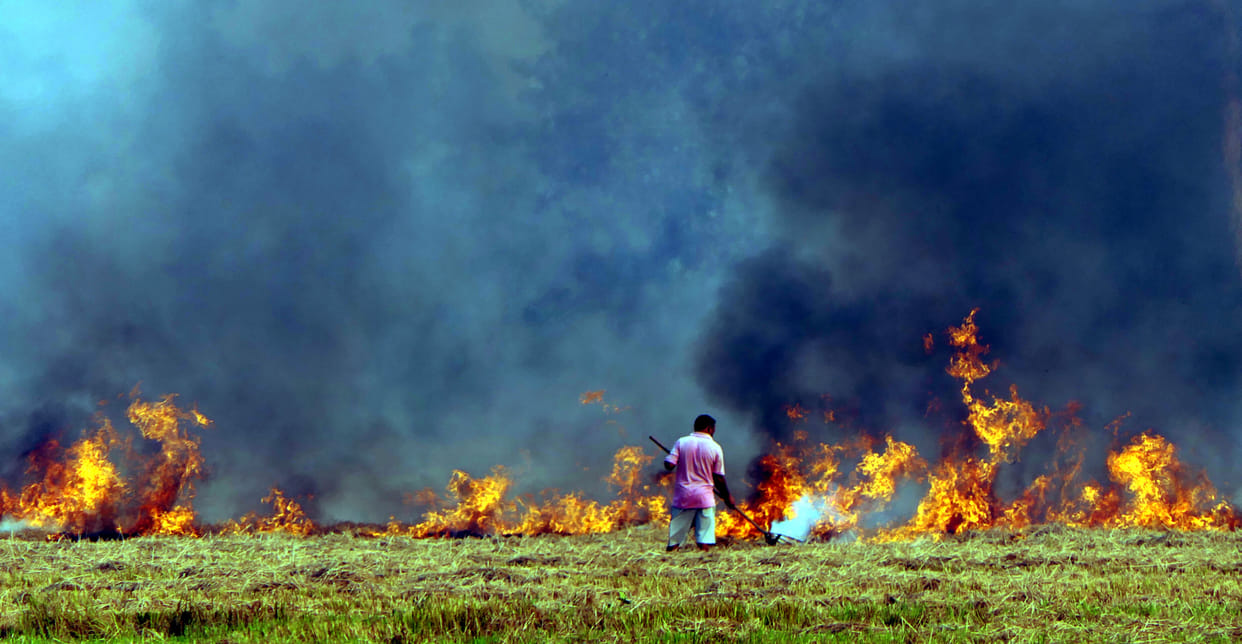 Two and a half lakh fine from 104 farmers for burning stubble