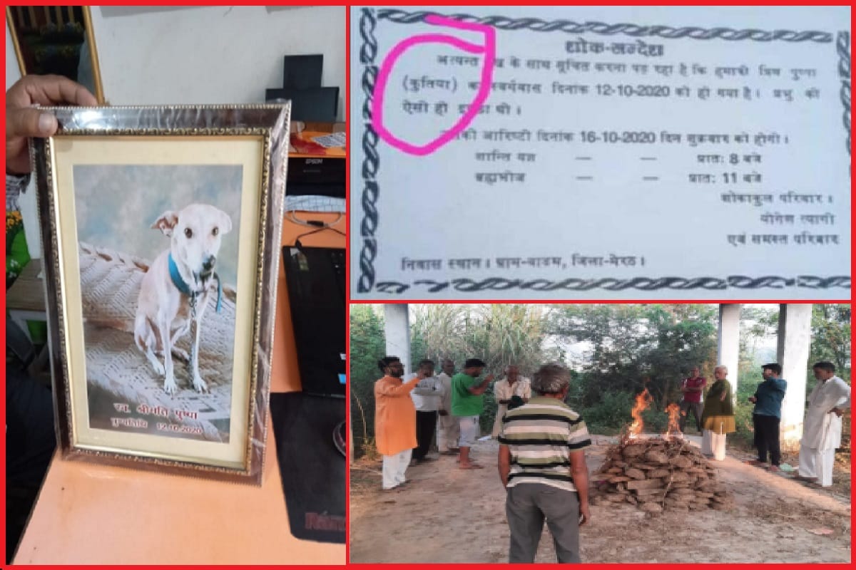 A dog has been cremated and then performed thirteenth in Badam village of Meerut