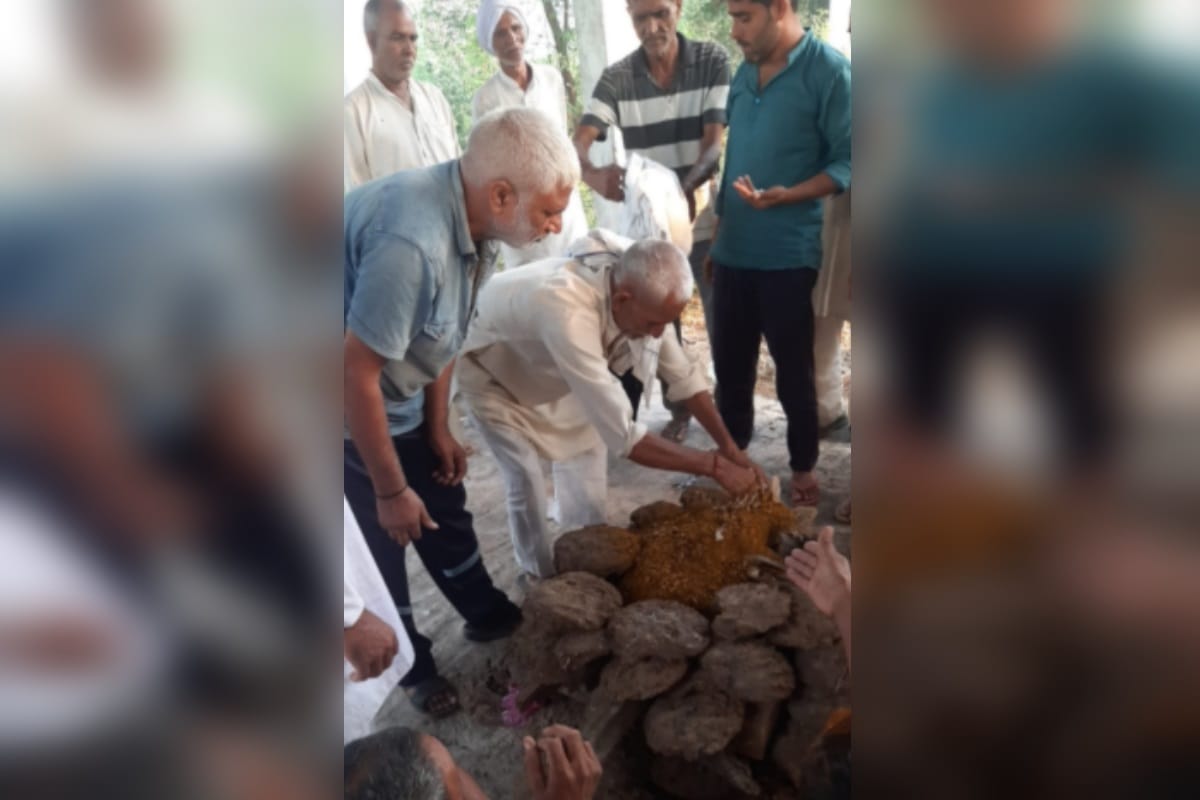 A dog has been cremated and then performed thirteenth in Badam village of Meerut
