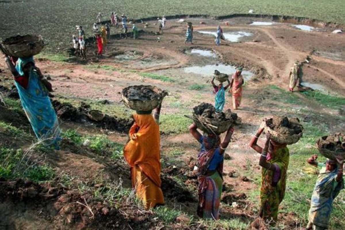 14 Lakh labourers get jobs in MNREGA.