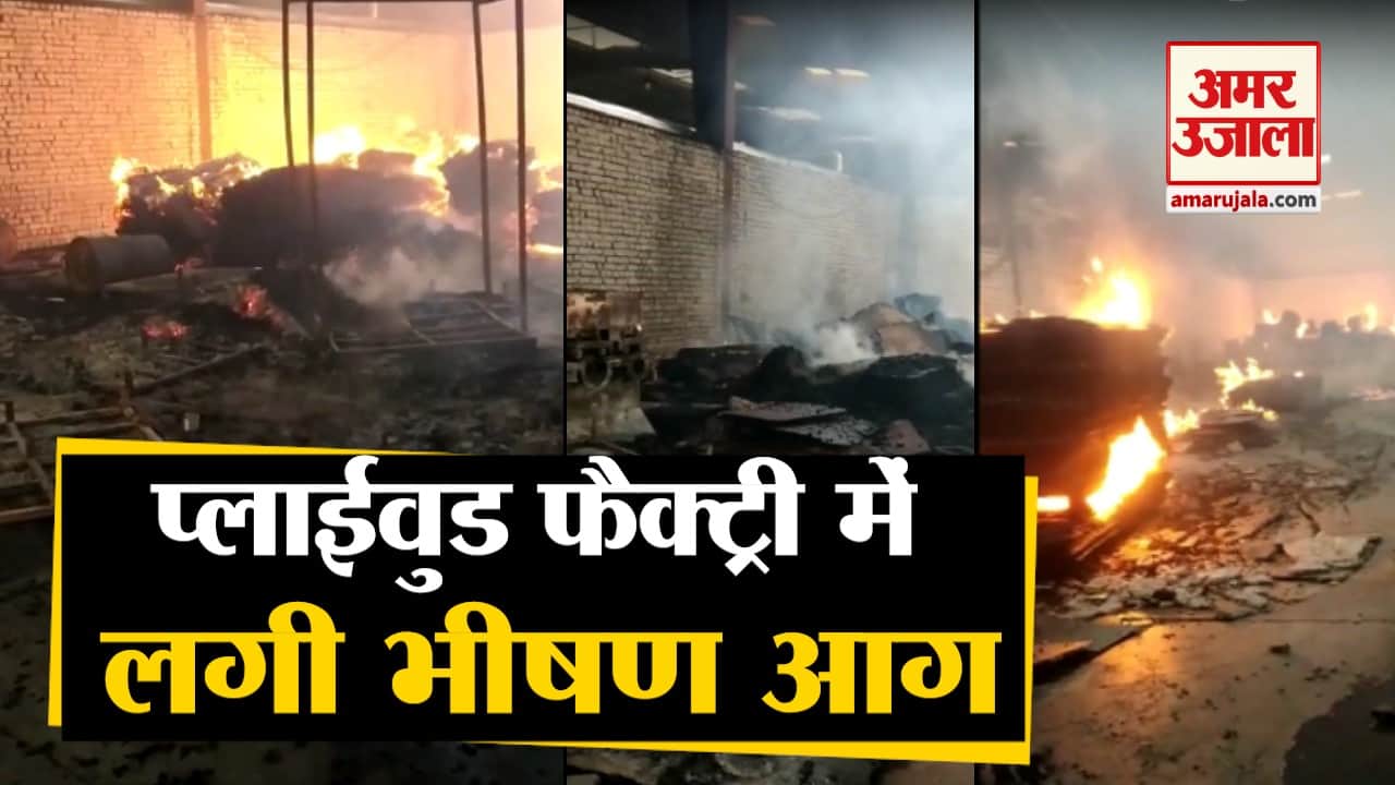 Fire breaks out at Plywood Factory in Punjab